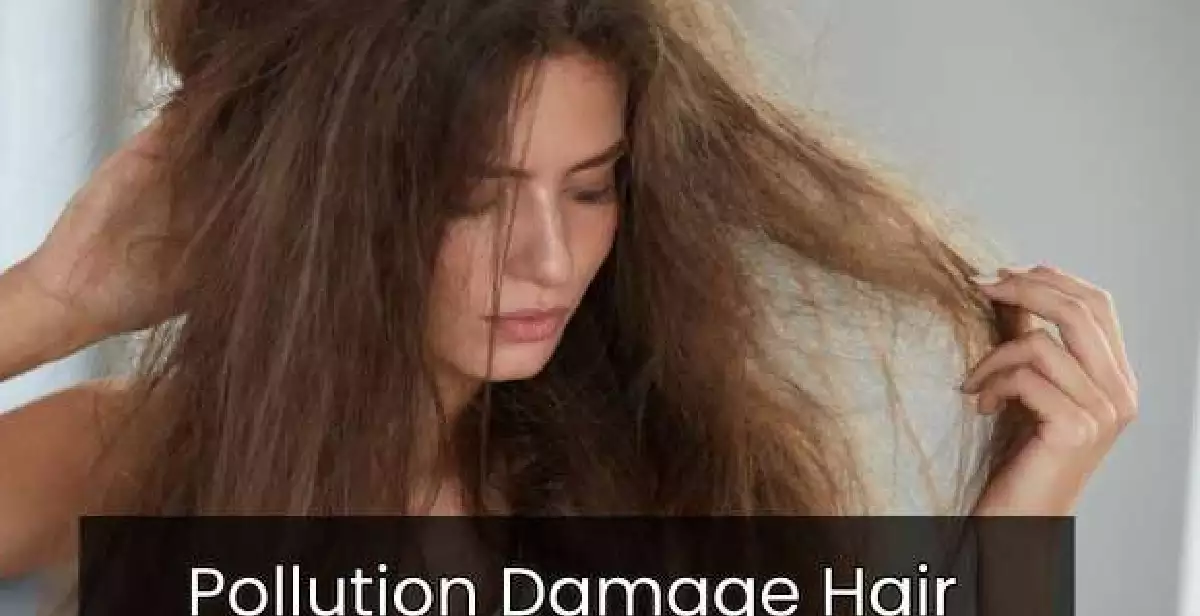 Pollution Damage Hair