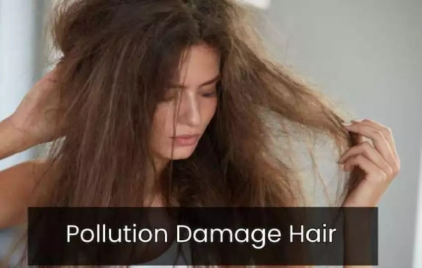Pollution Damage Hair