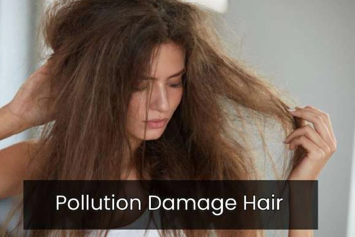 Pollution Damage Hair