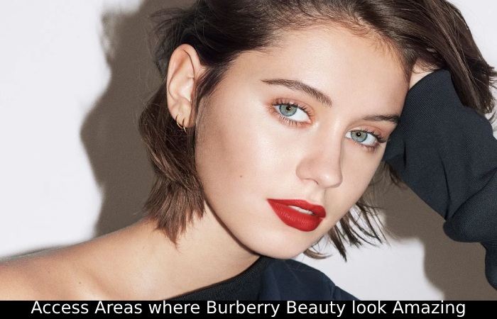 Burburry beauty look (2)