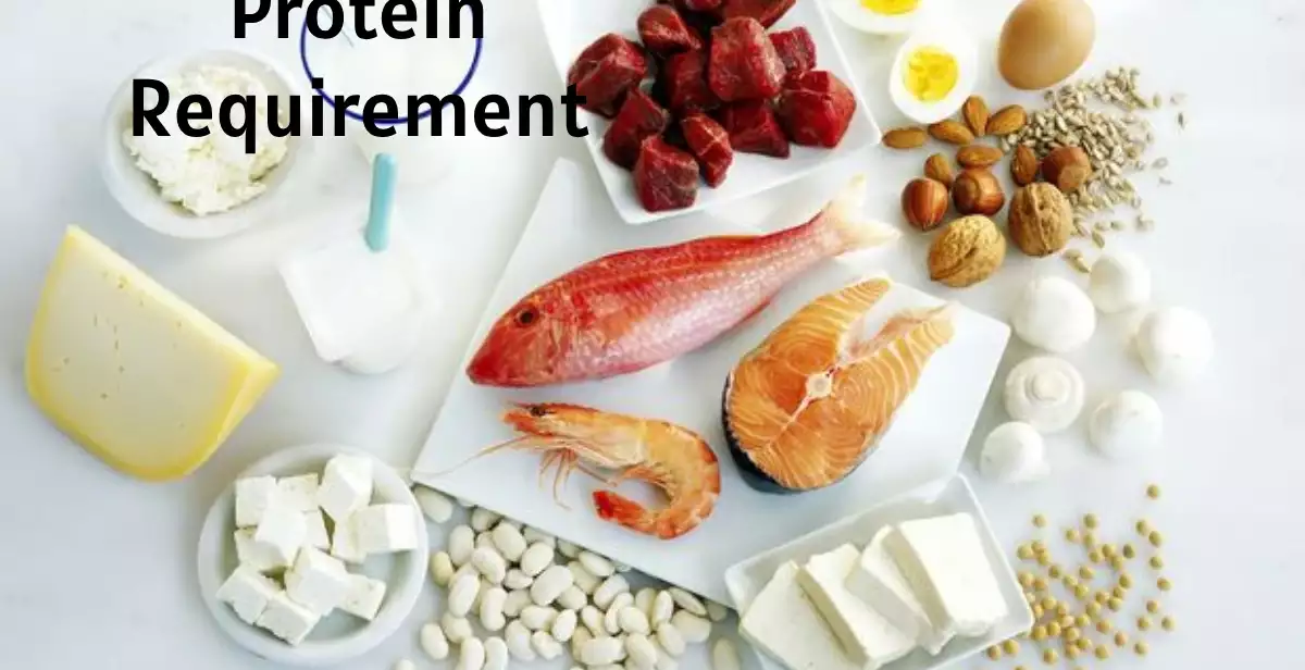 Protein Requirement