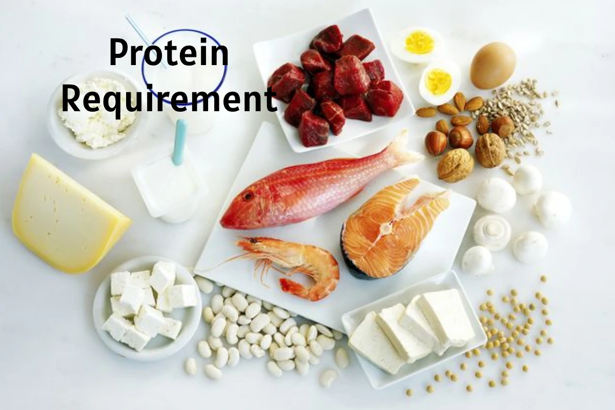 Protein Requirement