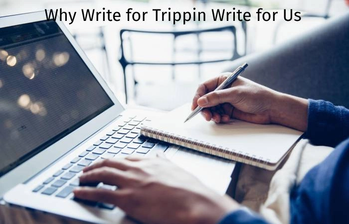 Why Write for Digitalbeautyweb– Trippin Write for Us